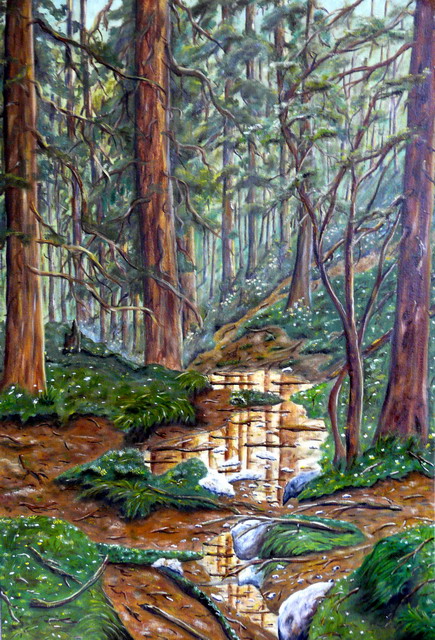 V lese (48 x 70) PREDANÉ 